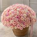 Maison Rose