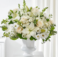 Cheerful Tribute