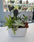 Succulent Serenity Garden
