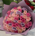 Rose Garden
